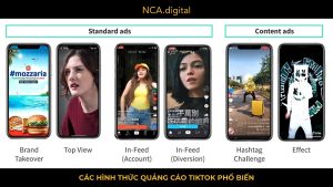 Các Hình Thức Quảng Cáo Tiktok ADs Phổ Biến Hiện Nay